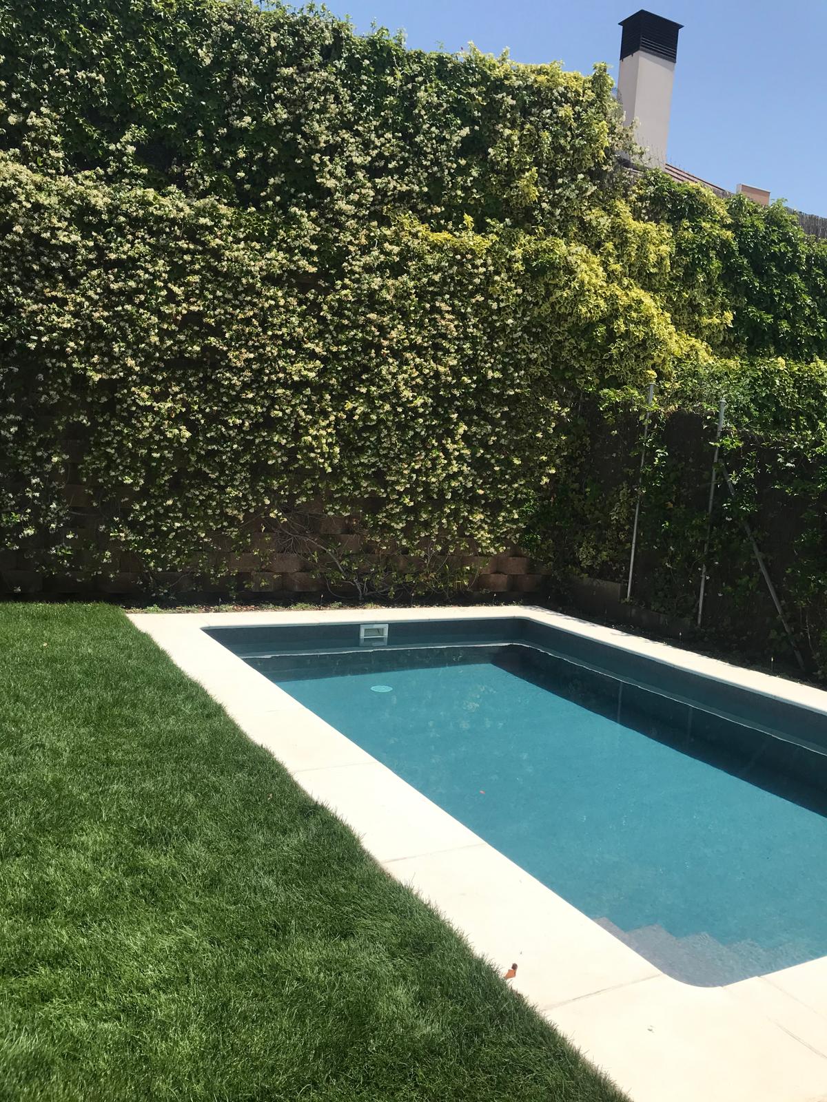 Piscina de hormigón, construcción e impermeabilización. Obra de calidad con diseño moderno y césped.